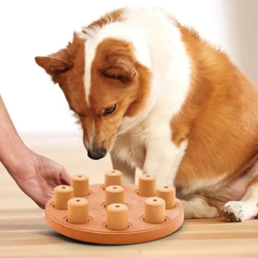 Nina Ottosson Smart Composite Puzzle Dog Toy - DOGUE