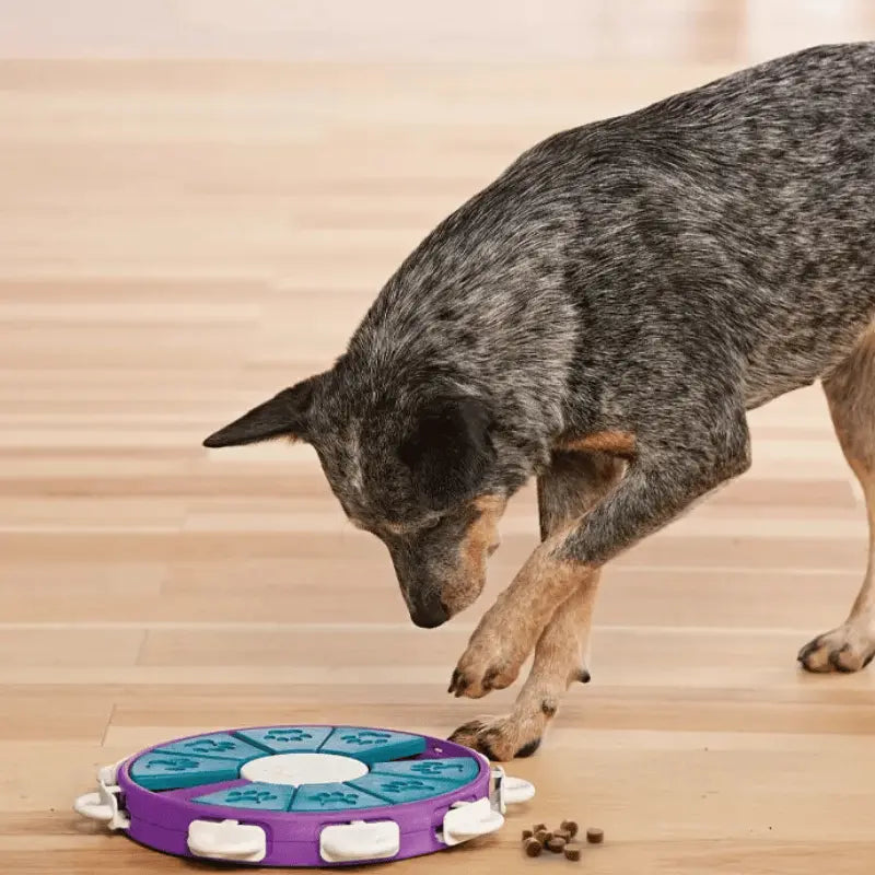 Nina Ottosson Twister Dog Toy | Buy Online at DOGUE Australia