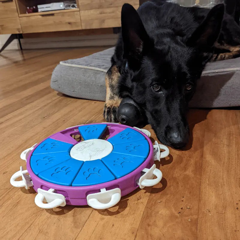 Nina Ottosson Twister Dog Toy | Buy Online at DOGUE Australia