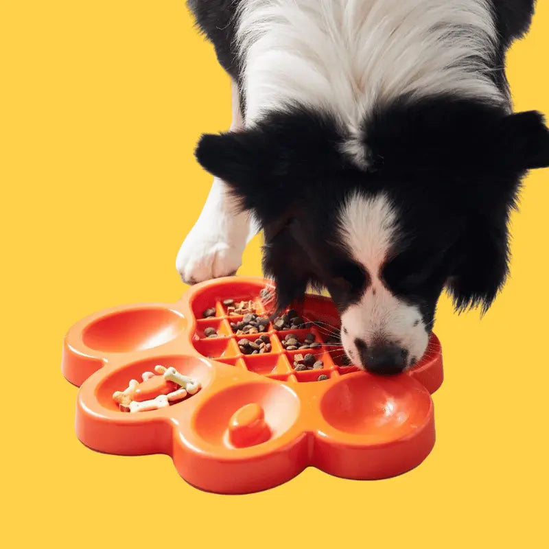PAW Slow Feeder & Lick Pad Dog Bowl | Buy Online at DOGUE Australia