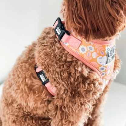 PUPSTYLE summer fling harness up close