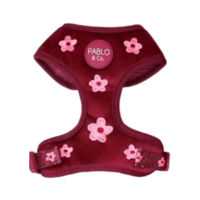 Pablo & Co Bloom Baby Bloom Velvet Dog Harness | Buy Online at DOGUE Australia