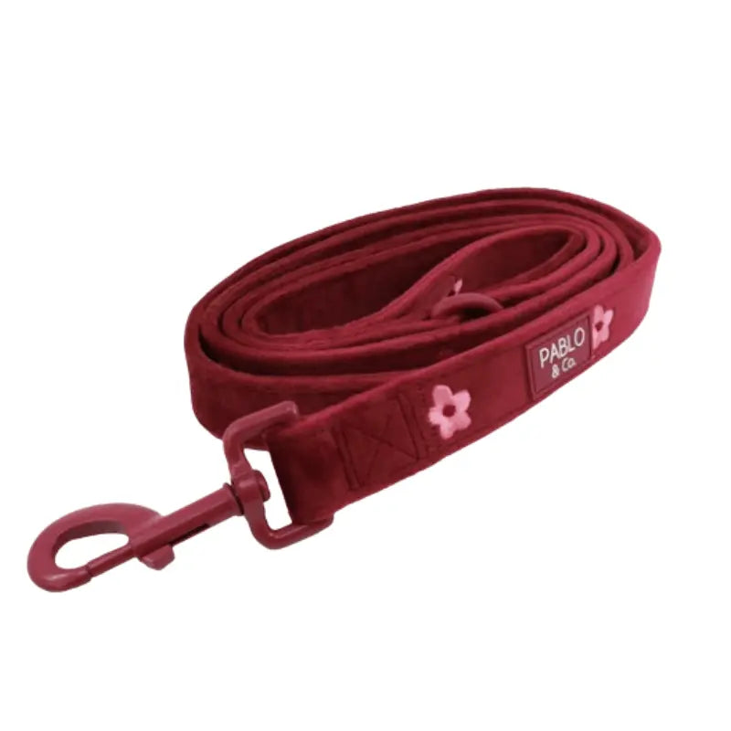 Pablo & Co Bloom Baby Bloom Velvet Dog Lead | Buy Online at DOGUE Australia