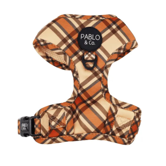 Pablo & Co Kensington Dog Harness | Buy Online at DOGUE Australia