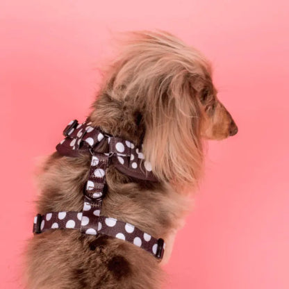 Pablo & Co Polka Dot Dog Harness | Buy Online at DOGUE Australia