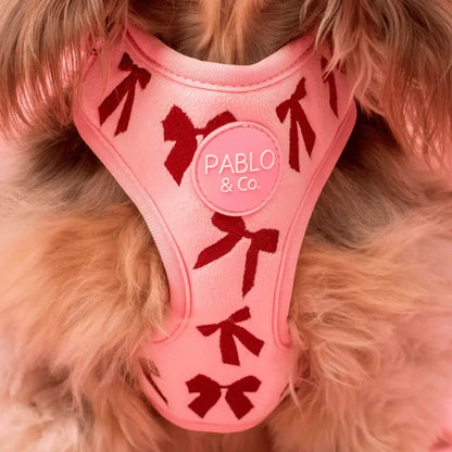 Pablo & Co Velvet Blush Bows Dog Harness | Buy Online at DOGUE Australia