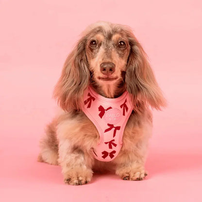 Pablo & Co Velvet Blush Bows Dog Harness | Buy Online at DOGUE Australia