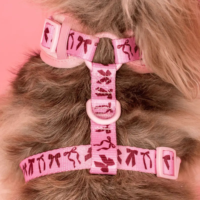 Pablo & Co Velvet Blush Bows Dog Harness | Buy Online at DOGUE Australia