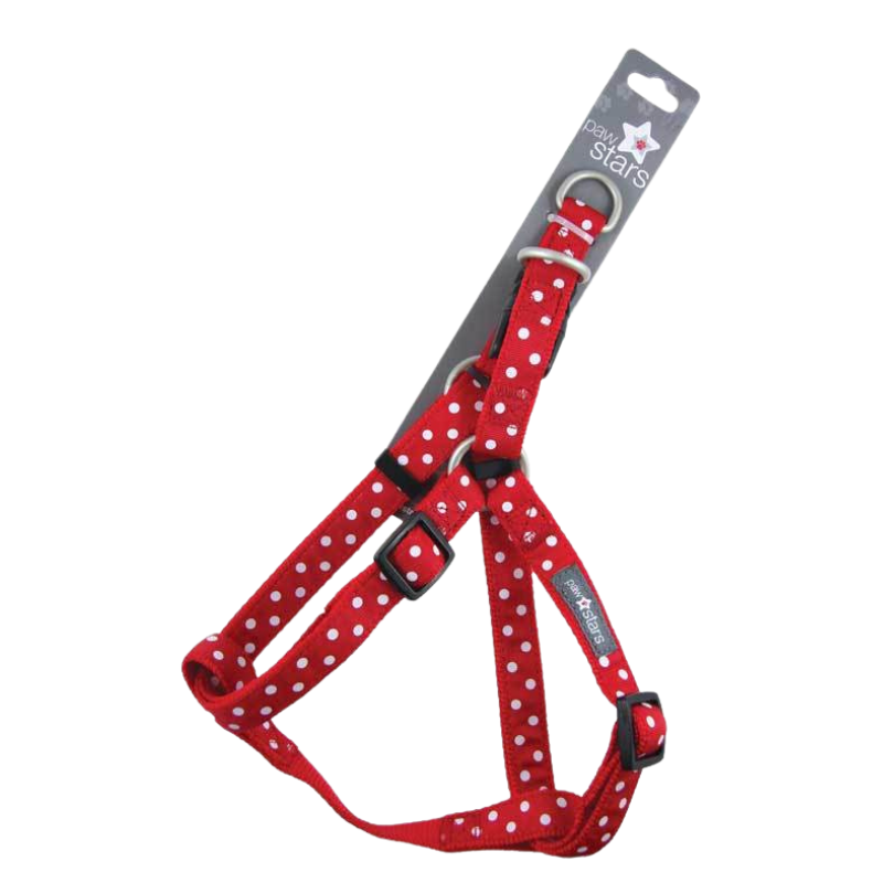 Paw Stars Ribbon Dog Harnesses - DOGUE