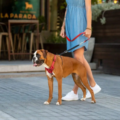 Rogz Utility Stop-Pull Dog Harness | Buy Online at DOGUE Australia