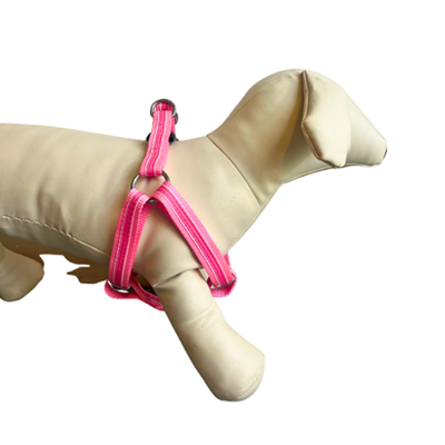 Buy dog harness 2024 online