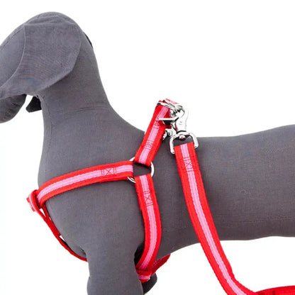 Rufus & Coco Dog Harnesses - DOGUE