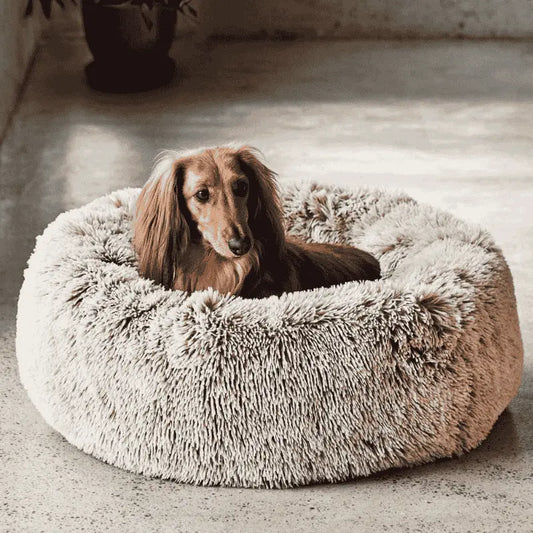 Snooza Calming Cuddler Dog Bed Mink | Buy Online at DOGUE Australia