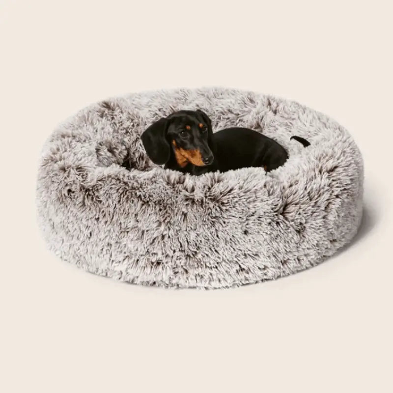 Snooza Calming Cuddler Dog Bed Mink | Buy Online at DOGUE Australia