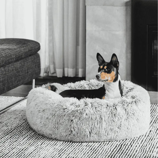 Snooza Calming Cuddler Dog Bed Silver Fox | Buy Online at DOGUE Australia
