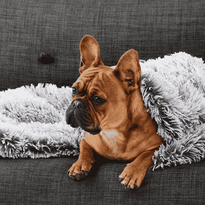 Snooza Calming Cuddler Dog Blanket Silver Fox (Copy) | Buy Online at DOGUE Australia