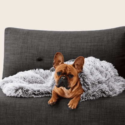 Snooza Calming Cuddler Dog Blanket Silver Fox (Copy) | Buy Online at DOGUE Australia