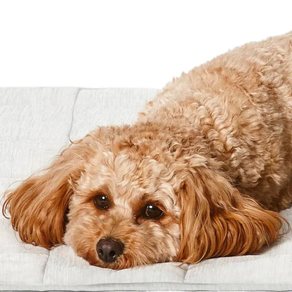 Snooza Cooling Comfort Dog Blanket - DOGUE