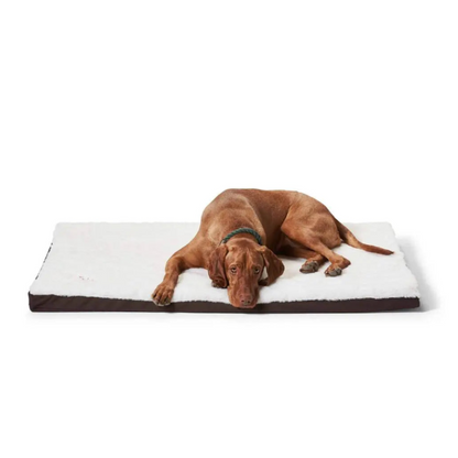 Snooza Super Comfort Orthobed Dog Bed | Buy Online at DOGUE Australia
