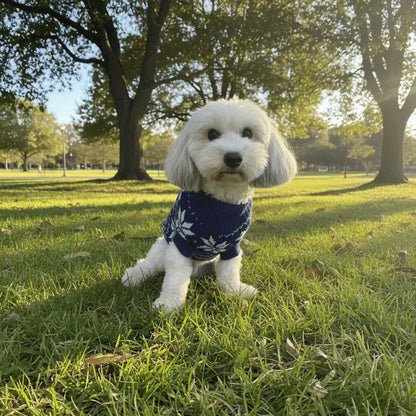 Snowflake Dog Jumper | Buy Online at DOGUE Australia