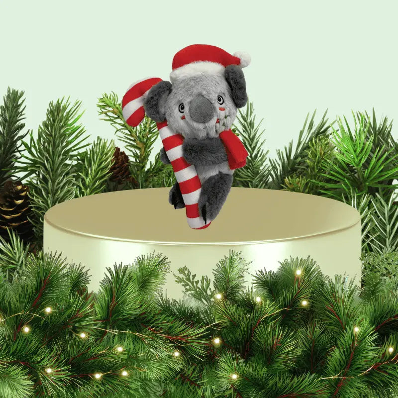 Snuggle Pals Holiday Koala with Candy Cane Dog Toy | Buy Online at DOGUE Australia