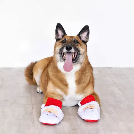 St. Nick's Kicks Holiday Dog Toy | Buy Online at DOGUE Australia