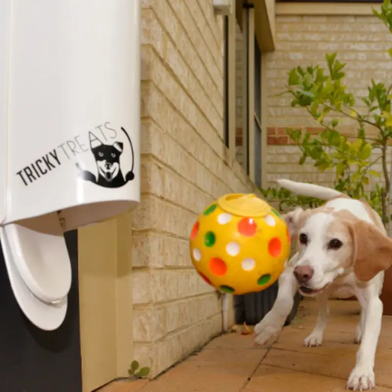 Tricky Treats Dog Treat Dispenser