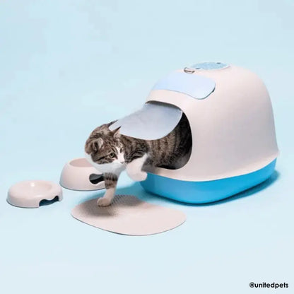United Pets Kitty Cat Bowl Dove Grey (Copy) | Buy Online at DOGUE Australia