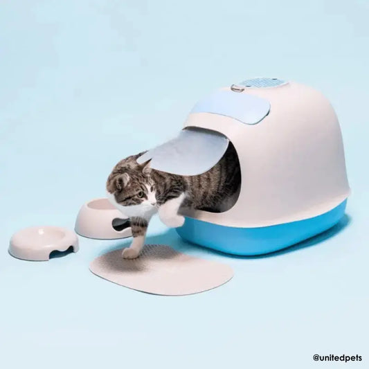 United Pets Kitty Cat Bowl Dove Grey (Copy) | Buy Online at DOGUE Australia