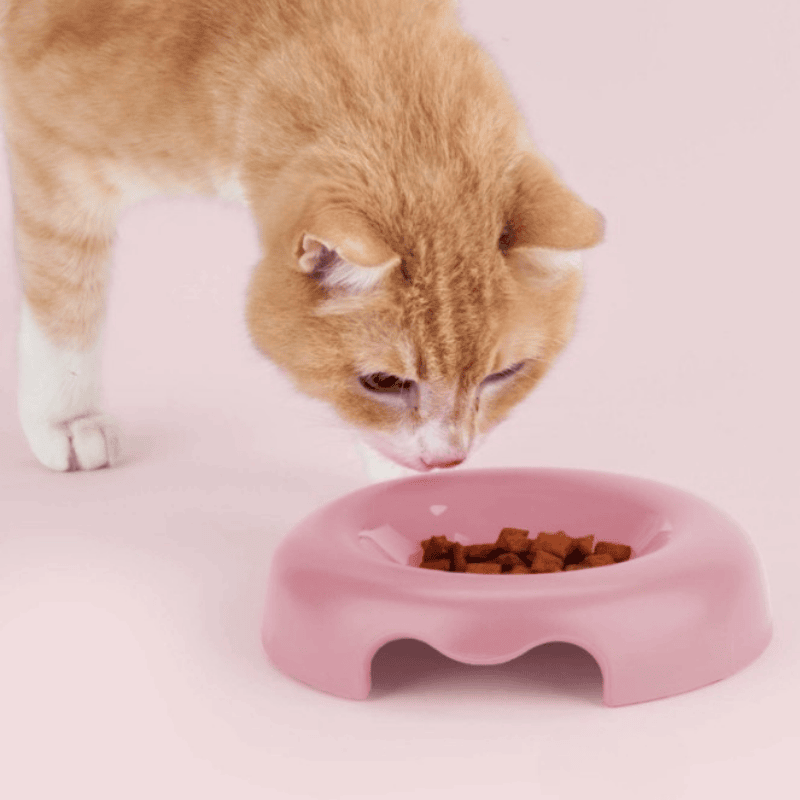 United Pets Kitty Cat Bowl Pink | Buy Online at DOGUE Australia