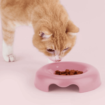 United Pets Kitty Cat Bowl Pink | Buy Online at DOGUE Australia