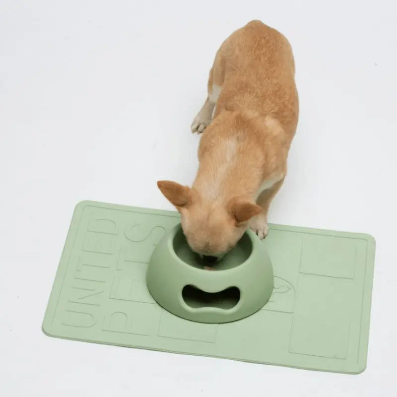 United Pets Pappy Dog Bowl Green | Buy Online at DOGUE Australia