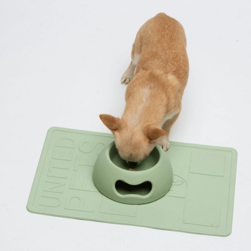 United Pets Pappy Dog Bowl Green | Buy Online at DOGUE Australia
