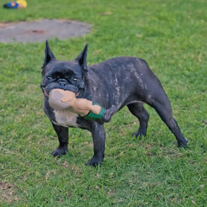 Vladimir Putin Dog Toy | Buy Online at DOGUE Australia