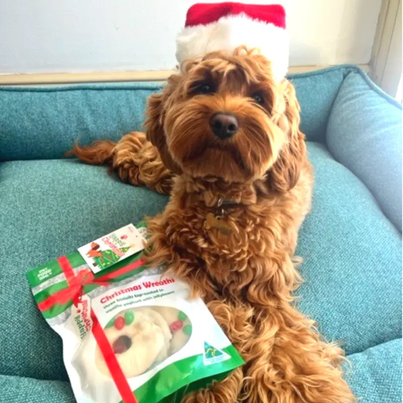 Wagalot Christmas Wreaths Dog Treats