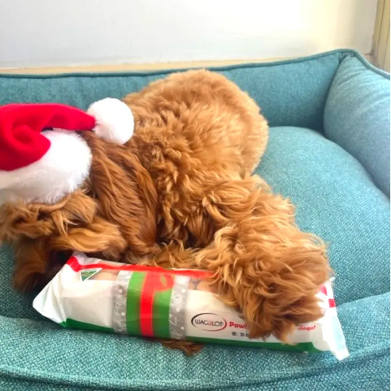 Wagalot Mini Christmas Bones Dog Treats