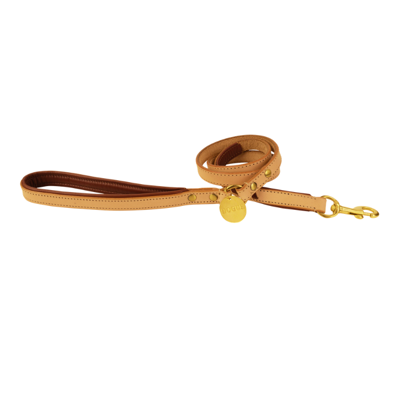 DOGUE Leather Man Dog Lead
