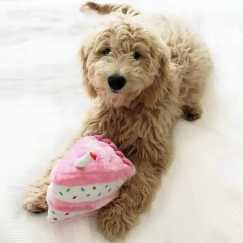 ZippyPaws Birthday Pack Dog Toy - DOGUE