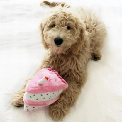 ZippyPaws Birthday Pack Dog Toy - DOGUE
