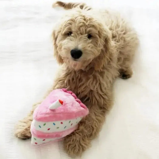 ZippyPaws Birthday Pack Dog Toy - DOGUE