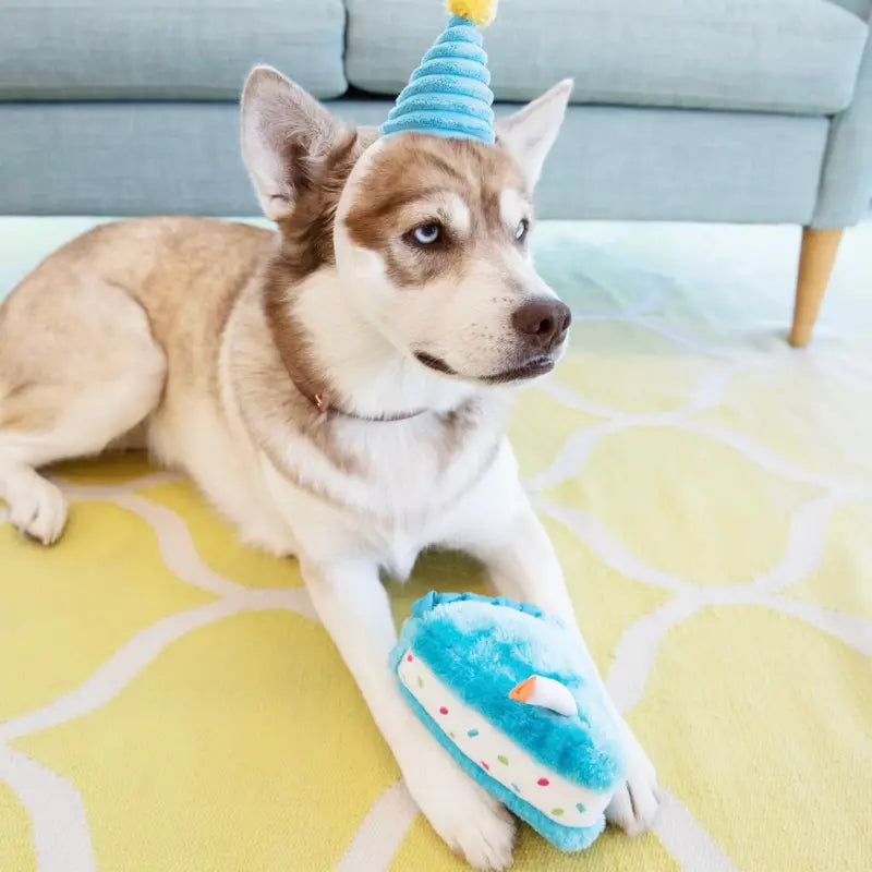 ZippyPaws Birthday Pack Dog Toy - DOGUE