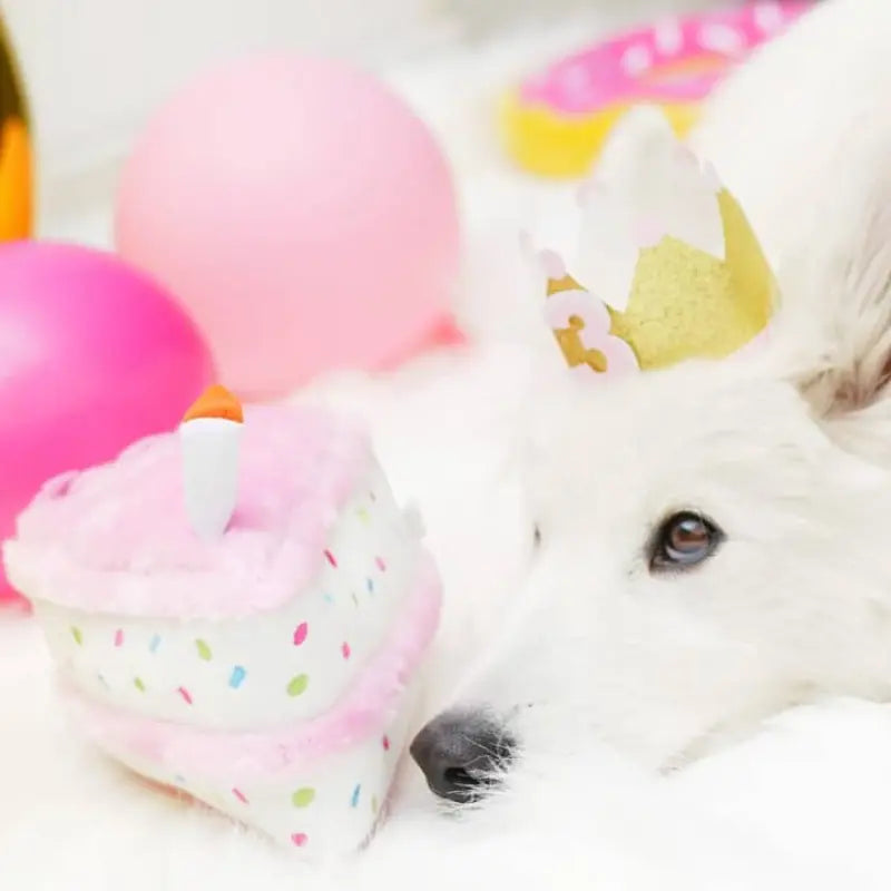 ZippyPaws Birthday Pack Dog Toy - DOGUE