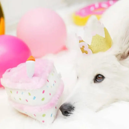 ZippyPaws Birthday Pack Dog Toy - DOGUE