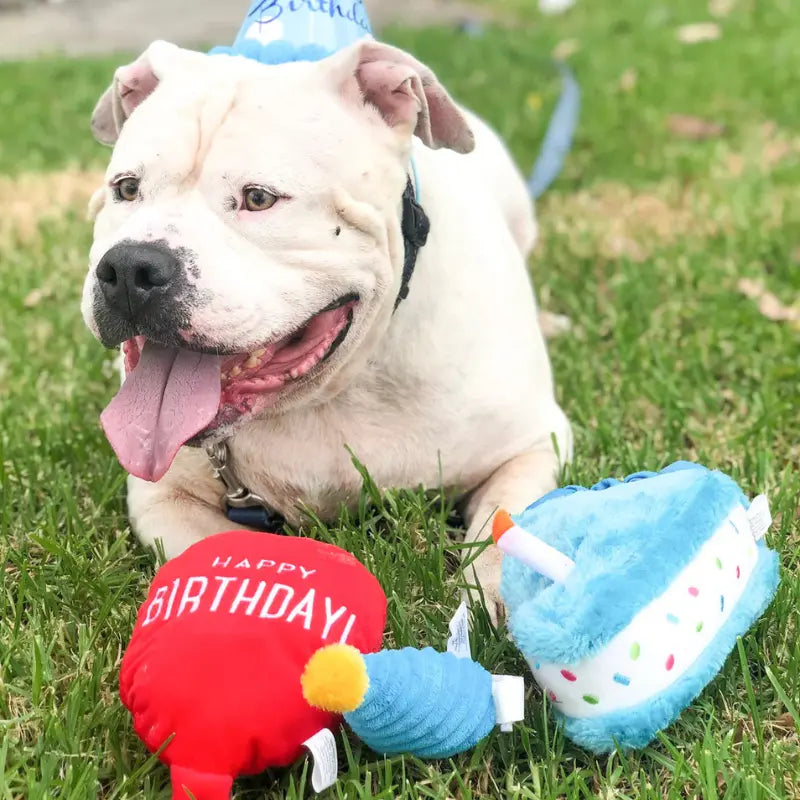 ZippyPaws Birthday Pack Dog Toy - DOGUE