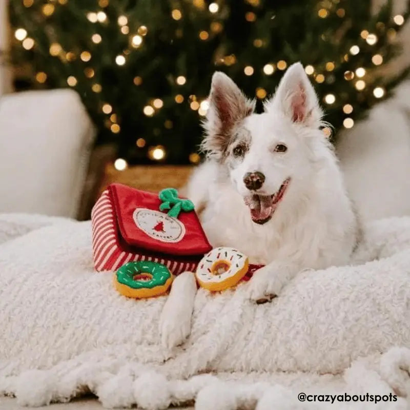 ZippyPaws Burrow Holiday Donut Box Dog Toy | Buy Online at DOGUE Australia