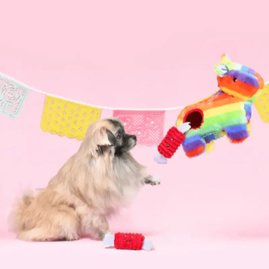 ZippyPaws Burrow Pinata Dog Toy | Buy Online at DOGUE Australia