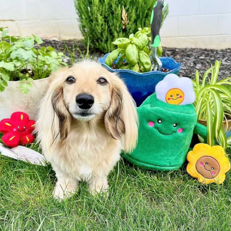 ZippyPaws Burrow Watering Can and Flowers Dog Toy - DOGUE