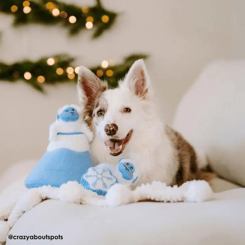 ZippyPaws Burrow Yetti Mountain Dog Toy | Buy Online at DOGUE Australia