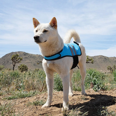 ZippyPaws Cooling Dog Vest | Buy Online at DOGUE Australia