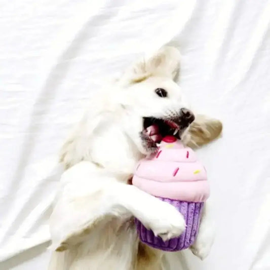ZippyPaws Cupcake Dog Toy - DOGUE